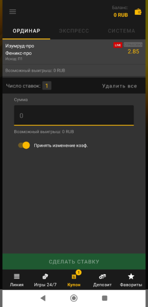 Купон для ставки в приложении