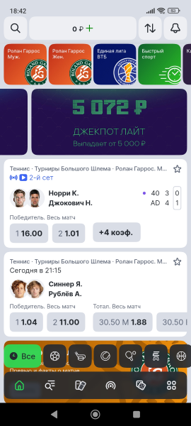 мобильное приложение Лиги Ставок - Интерфейс